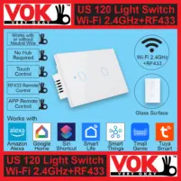 VOK Smart Wi-Fi+RF433 2-Gang White Color 120 USA American Standard Borderless Glass Power Light Switch Indoor Control Panel with LED Indicator